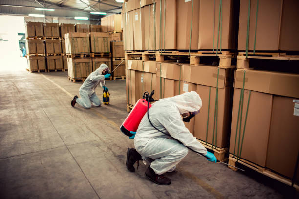 Best Emergency Pest Control  in Stone Mountain, GA