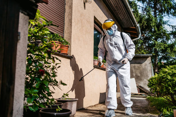 Best Insect Control  in Stone Mountain, GA