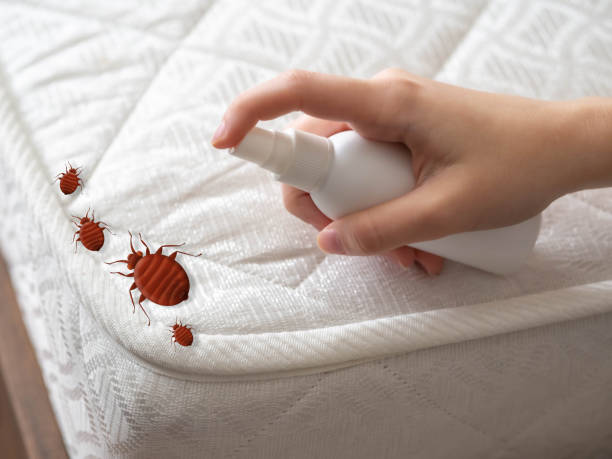 Best Best Pest Control Near Me  in Stone Mountain, GA