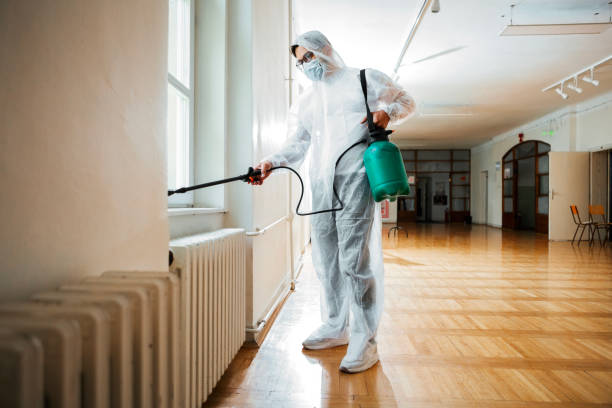 Best Pest Control for Businesses  in Stone Mountain, GA