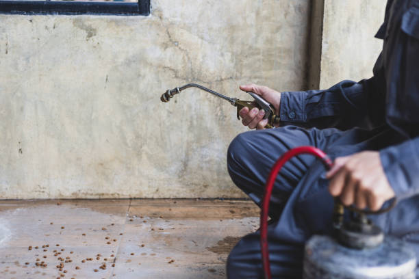 Best Cockroach Control Services  in Stone Mountain, GA